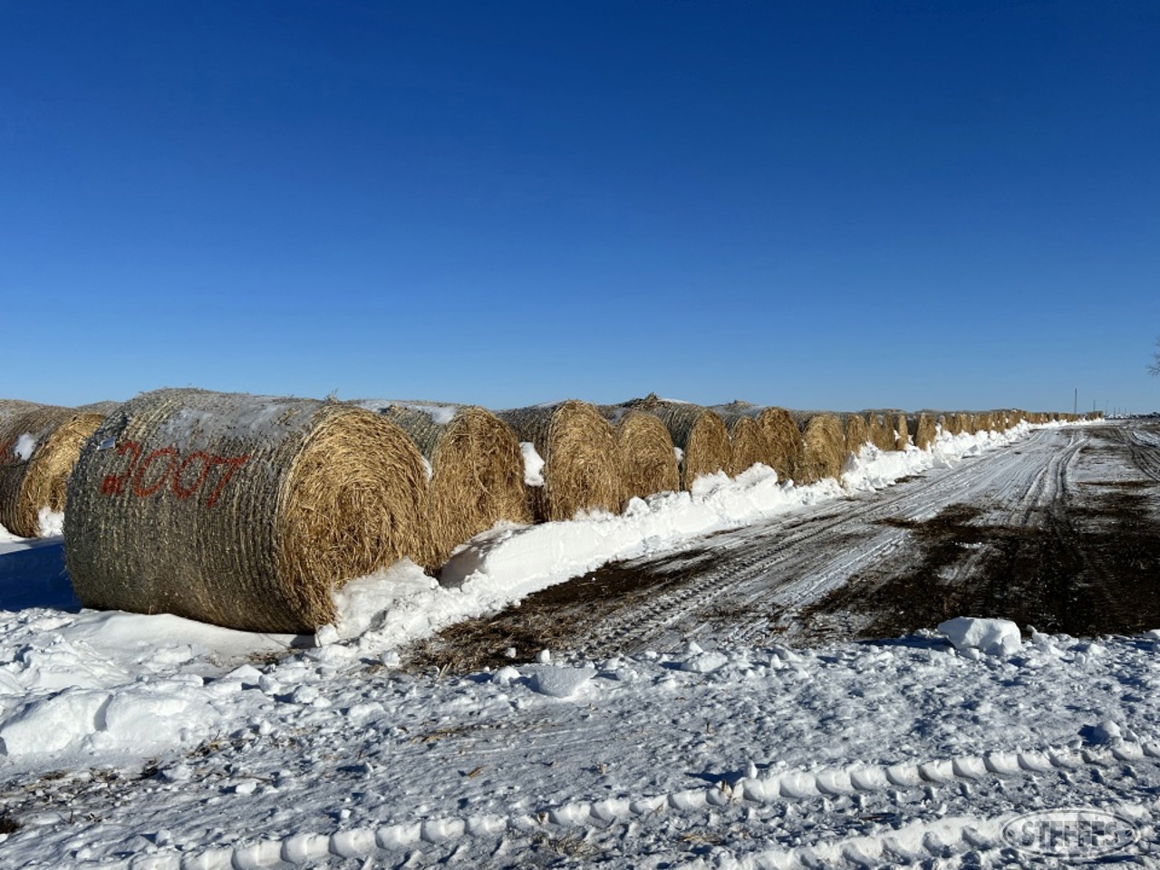 (90) Cropland Certified Pearl Millet bales,